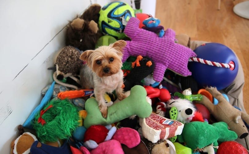 Check the Toy's Material and Care Instructions