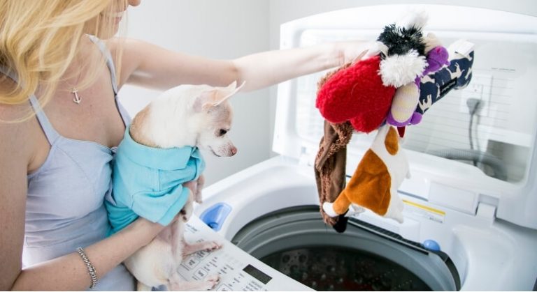 How to Wash Dog Toys