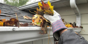 The Power of Clean Gutters: Enhancing Your Home's Health and Beauty